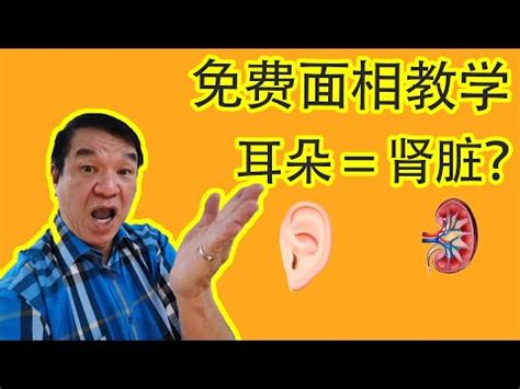 耳朵長相|【耳朵長相】揭密耳朵長相的秘密！5點指標解析性格與命運，助。